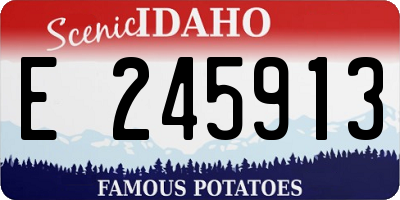 ID license plate E245913