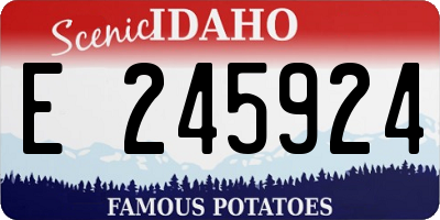 ID license plate E245924