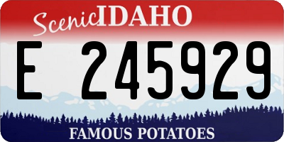 ID license plate E245929