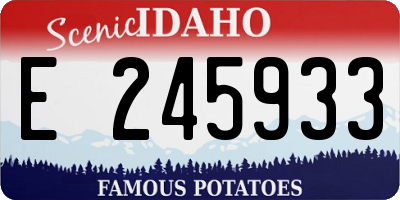 ID license plate E245933