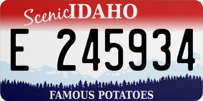 ID license plate E245934