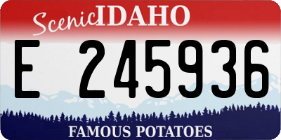 ID license plate E245936