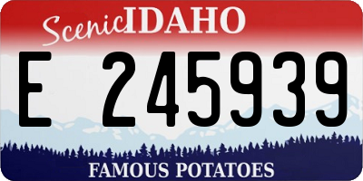 ID license plate E245939