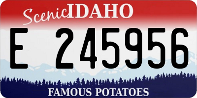 ID license plate E245956