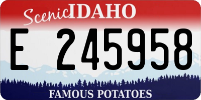 ID license plate E245958