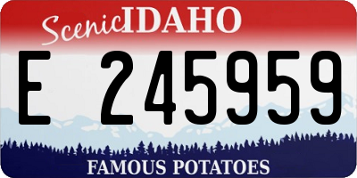ID license plate E245959