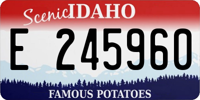 ID license plate E245960