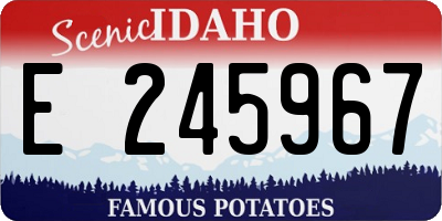 ID license plate E245967