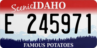 ID license plate E245971