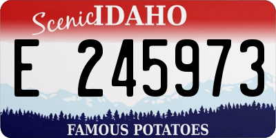 ID license plate E245973