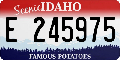 ID license plate E245975
