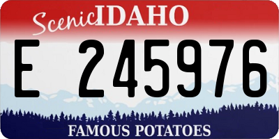 ID license plate E245976