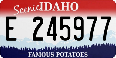 ID license plate E245977