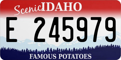 ID license plate E245979