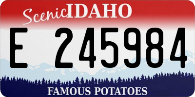 ID license plate E245984