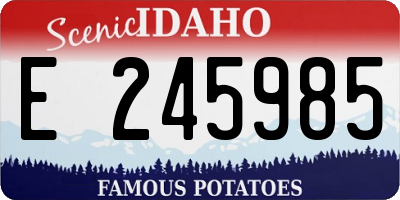 ID license plate E245985