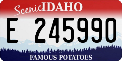 ID license plate E245990