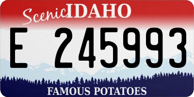 ID license plate E245993