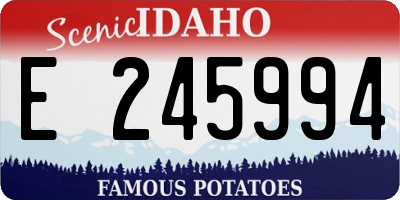 ID license plate E245994