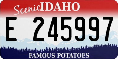 ID license plate E245997