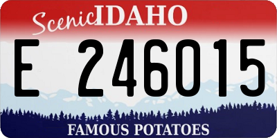 ID license plate E246015