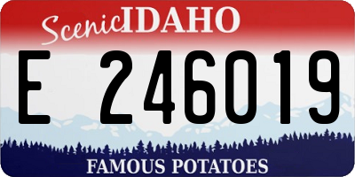 ID license plate E246019