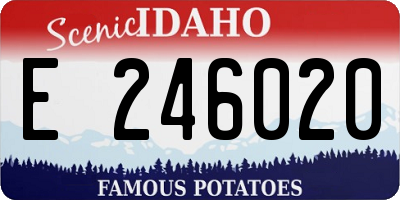 ID license plate E246020
