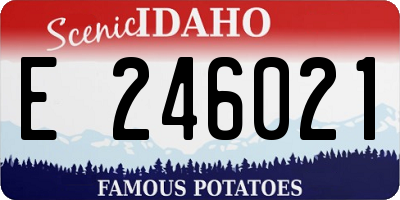 ID license plate E246021