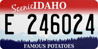 ID license plate E246024