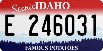 ID license plate E246031