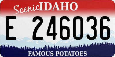 ID license plate E246036