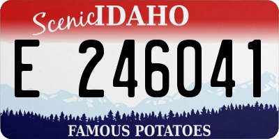 ID license plate E246041