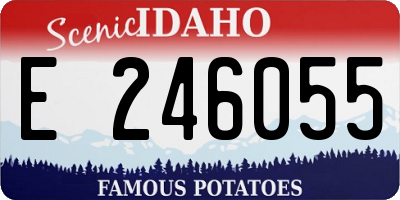 ID license plate E246055