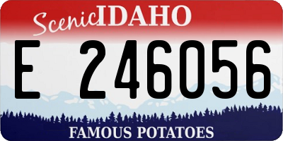 ID license plate E246056