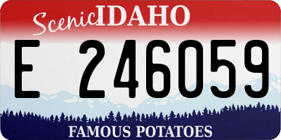 ID license plate E246059