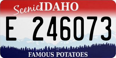 ID license plate E246073