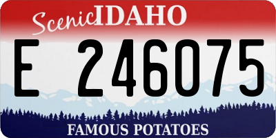 ID license plate E246075