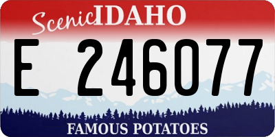 ID license plate E246077