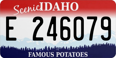 ID license plate E246079