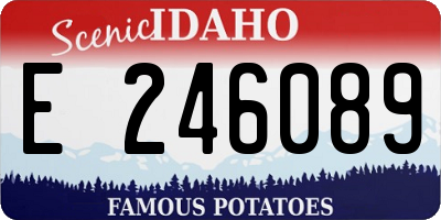 ID license plate E246089