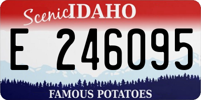 ID license plate E246095