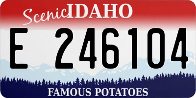 ID license plate E246104
