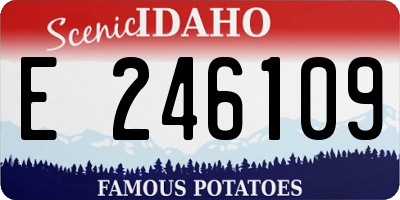 ID license plate E246109