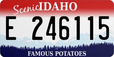 ID license plate E246115