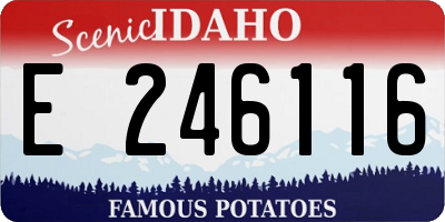 ID license plate E246116
