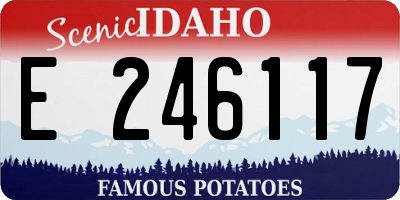 ID license plate E246117