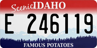 ID license plate E246119