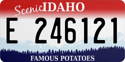 ID license plate E246121