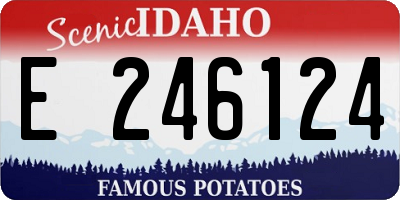 ID license plate E246124