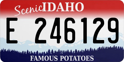 ID license plate E246129